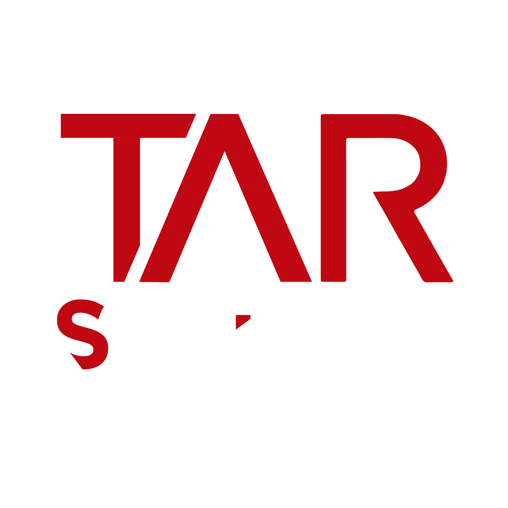 TAR Security Logo